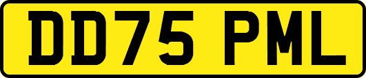 DD75PML