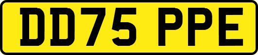 DD75PPE