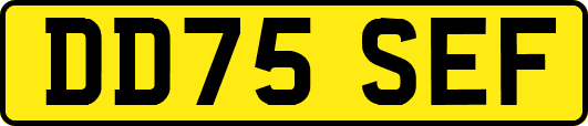 DD75SEF