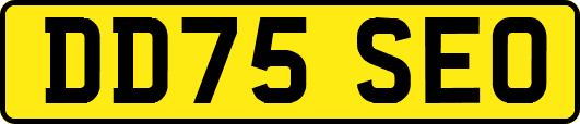 DD75SEO