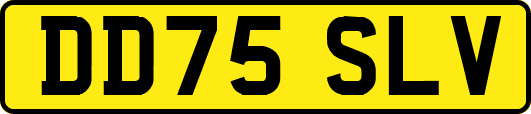 DD75SLV