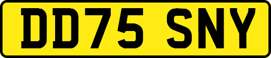 DD75SNY