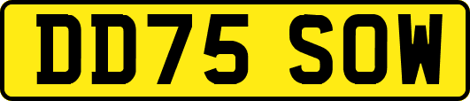 DD75SOW