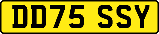DD75SSY
