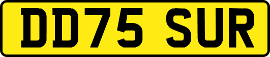 DD75SUR