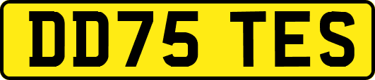 DD75TES