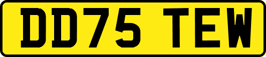 DD75TEW