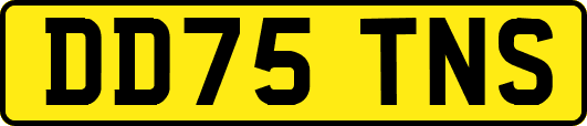 DD75TNS