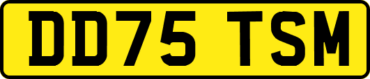 DD75TSM
