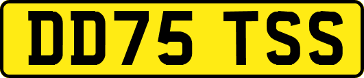 DD75TSS
