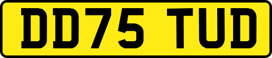 DD75TUD