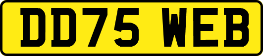 DD75WEB