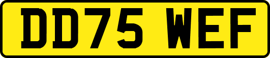 DD75WEF