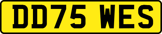 DD75WES
