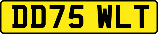 DD75WLT