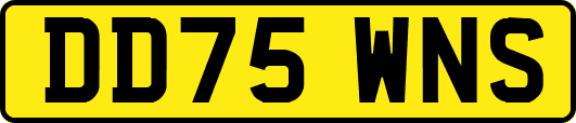 DD75WNS