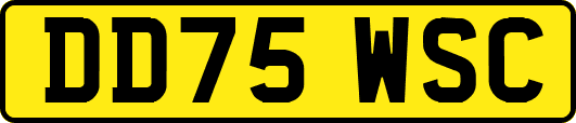 DD75WSC