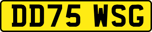 DD75WSG