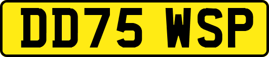 DD75WSP