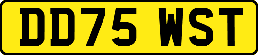 DD75WST