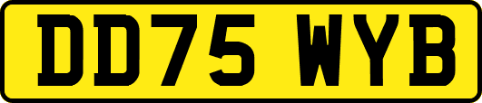 DD75WYB