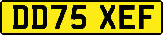 DD75XEF