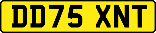 DD75XNT