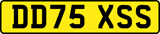 DD75XSS