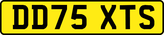 DD75XTS