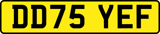 DD75YEF