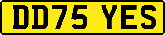 DD75YES