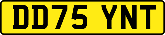 DD75YNT