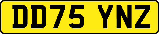DD75YNZ