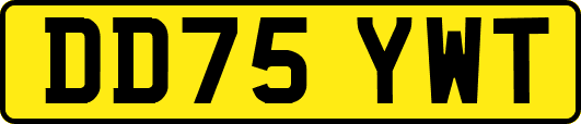 DD75YWT