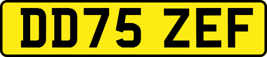DD75ZEF