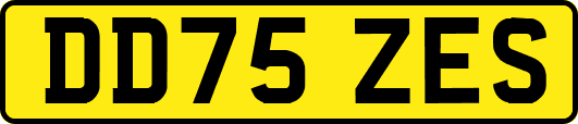 DD75ZES