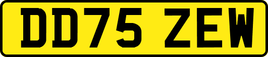 DD75ZEW