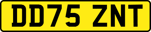 DD75ZNT