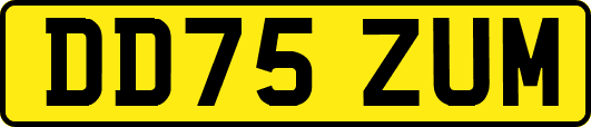 DD75ZUM