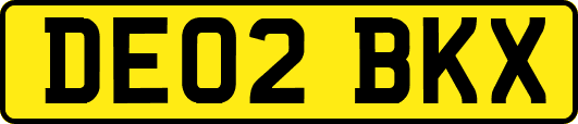 DE02BKX