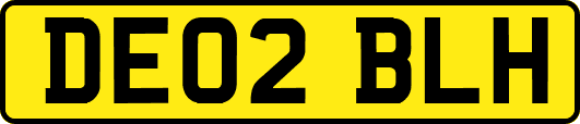 DE02BLH