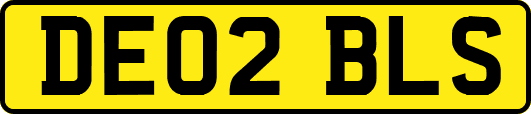 DE02BLS