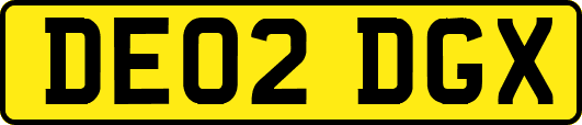 DE02DGX