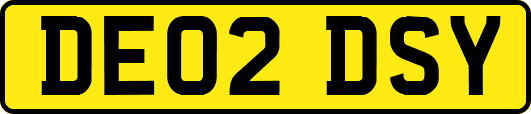 DE02DSY