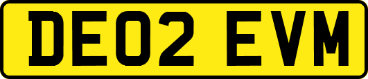 DE02EVM