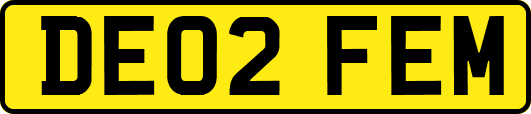 DE02FEM