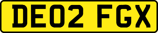 DE02FGX