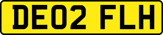 DE02FLH