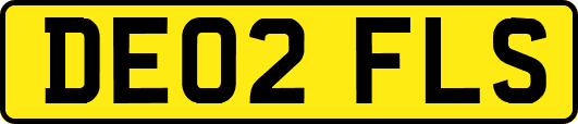 DE02FLS