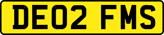DE02FMS